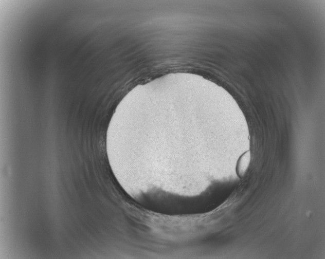 X0000066530048200604141851