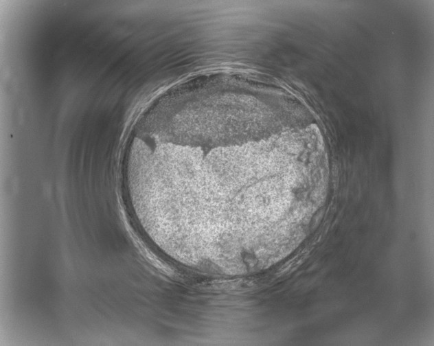 X0000066530049200604141850