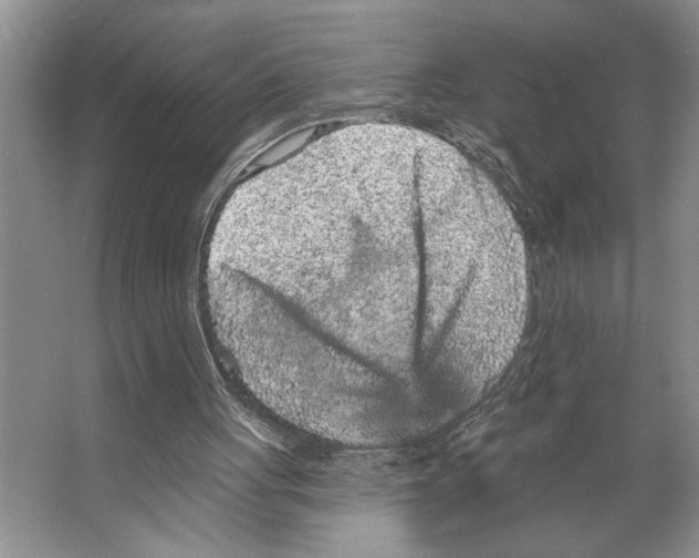 X0000066530051200604141850