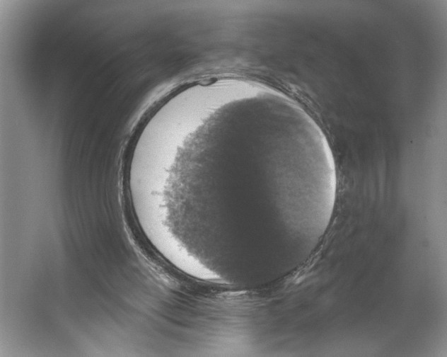 X0000066530054200604141850