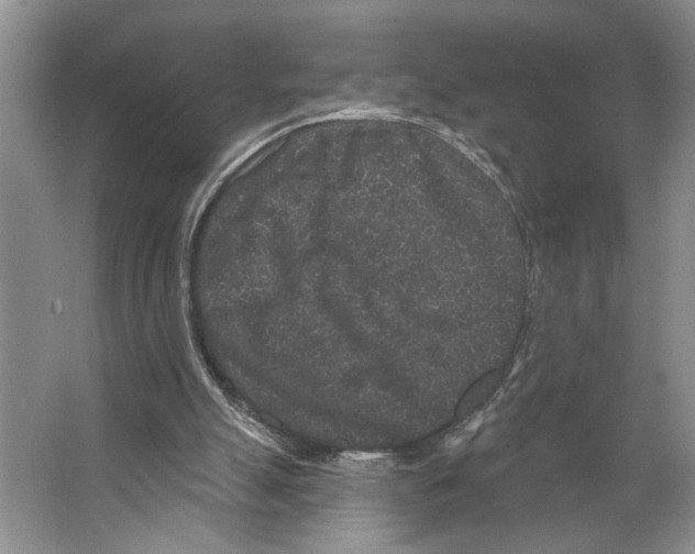 X0000066530055200604141850