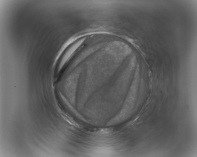 X0000066530056200604141850