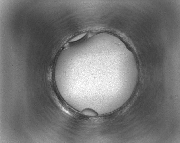 X0000066530057200604141850