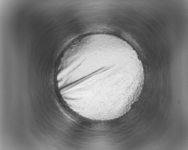 X0000066530058200604141850