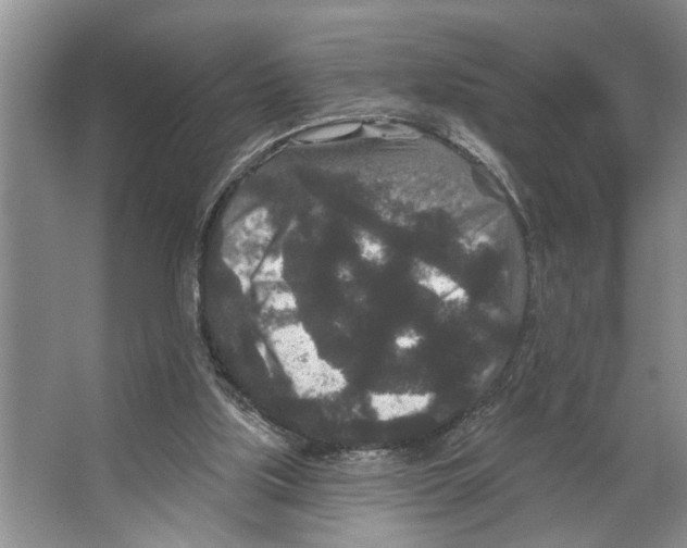 X0000066530059200604141850