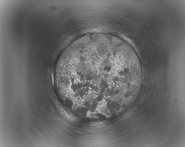 X0000066530061200604141850