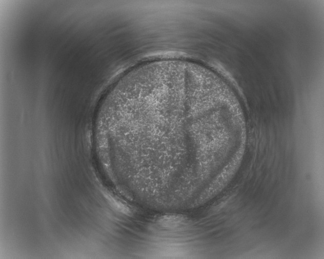 X0000066530063200604141850