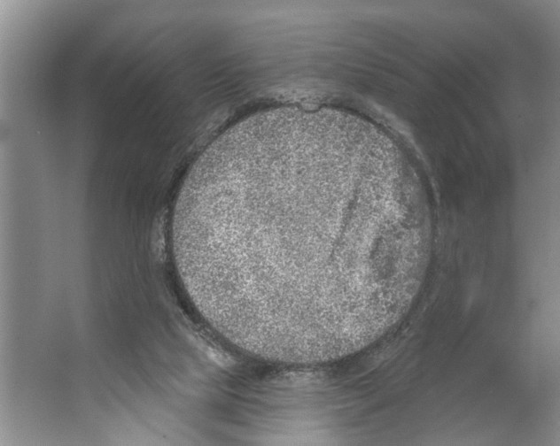 X0000066530065200604141850