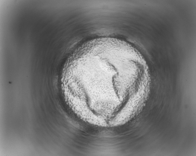 X0000066530066200604141850