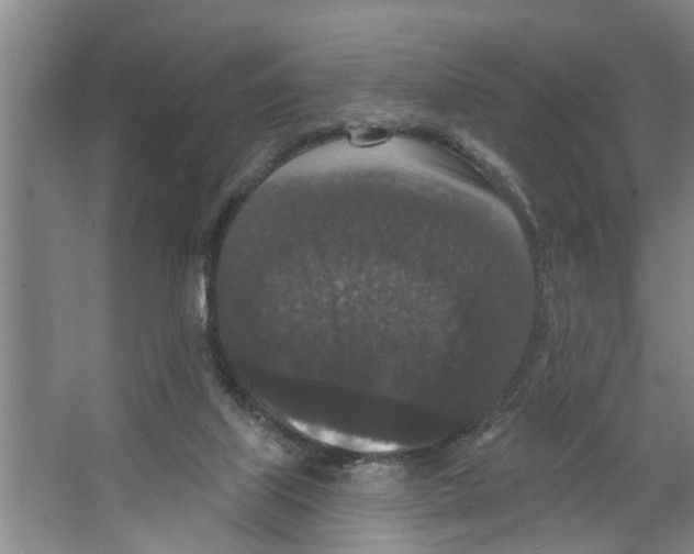 X0000066530067200604141850