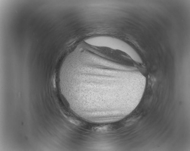 X0000066530068200604141850