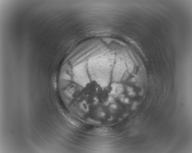 X0000066530069200604141850