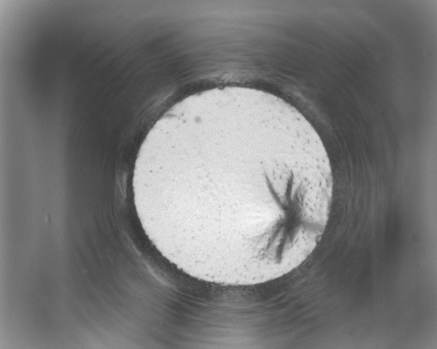 X0000066530070200604141850