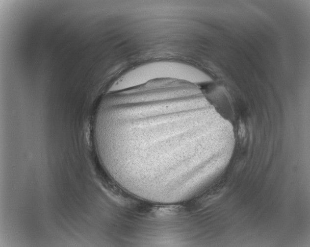 X0000066530072200604141850