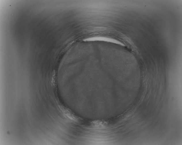 X0000066530073200604141850