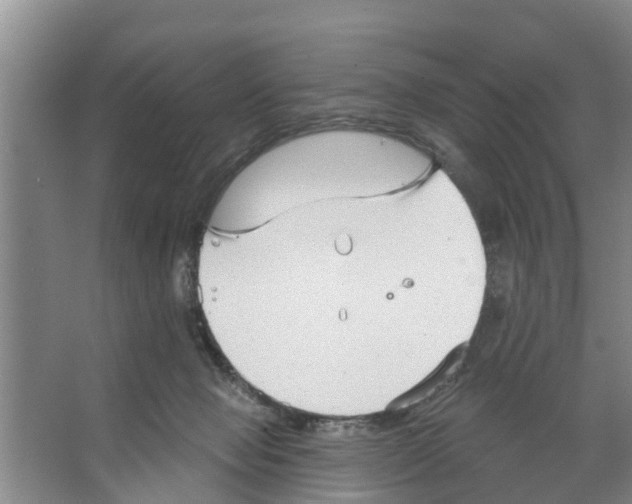 X0000066530077200604141850