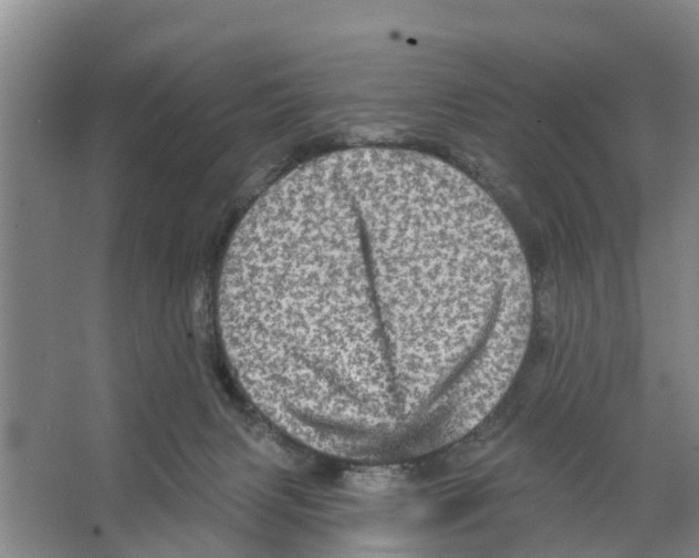 X0000066530079200604141850