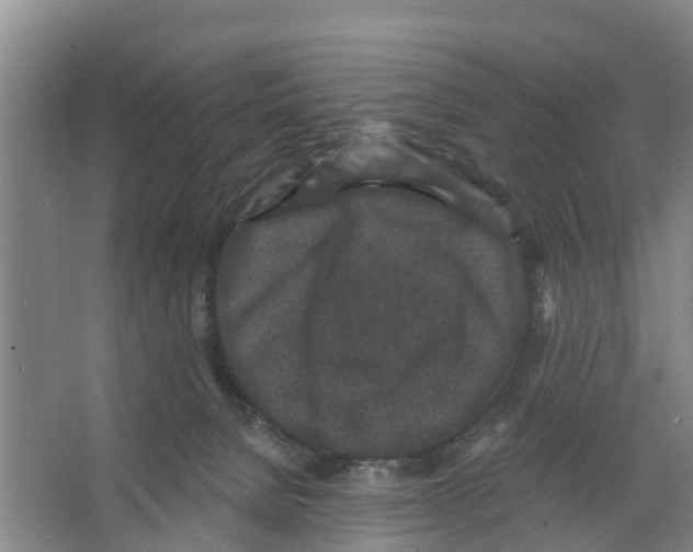 X0000066530080200604141850