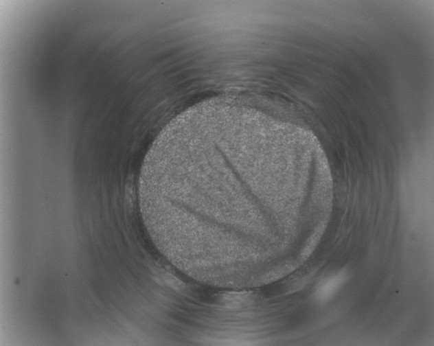 X0000066530085200604141851