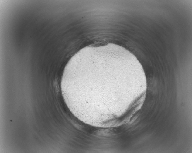 X0000066530086200604141851