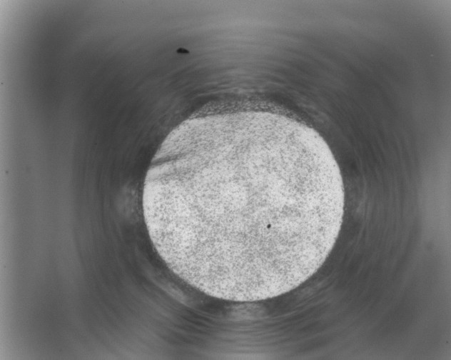 X0000066530087200604141851