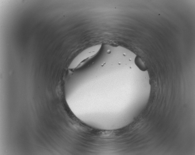 X0000066530088200604141851