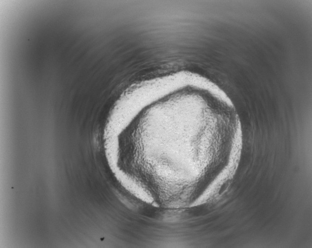 X0000066530090200604141851