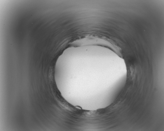 X0000066530092200604141851