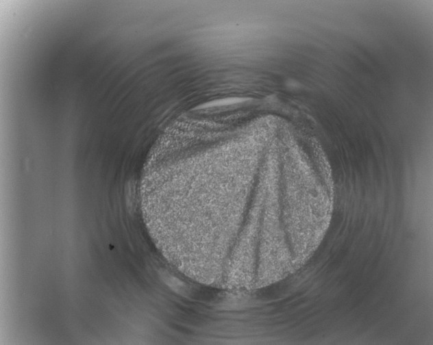 X0000066530093200604141851