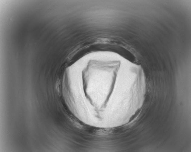 X0000066530094200604141851