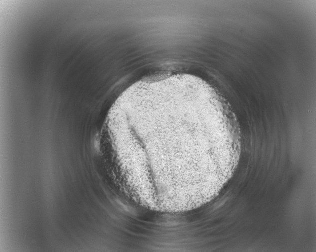 X0000066530095200604141851