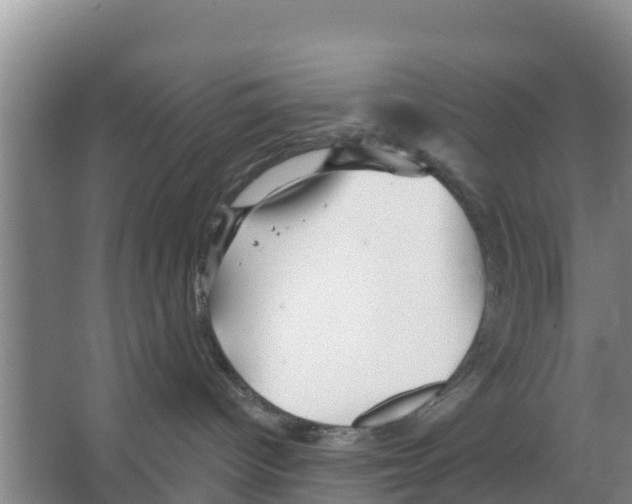 X0000066530096200604141851