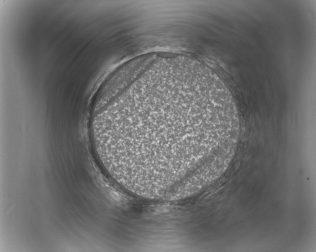 X0000066530098200604141850