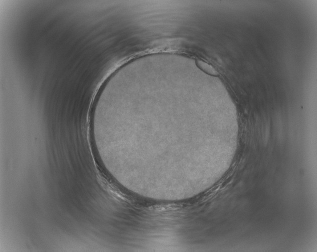 X0000066530100200604141850