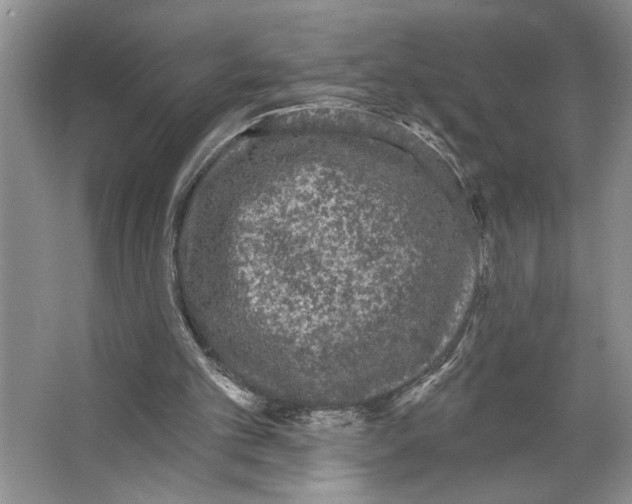 X0000066530101200604141850