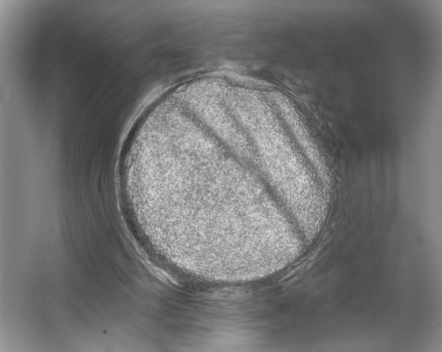 X0000066530102200604141850