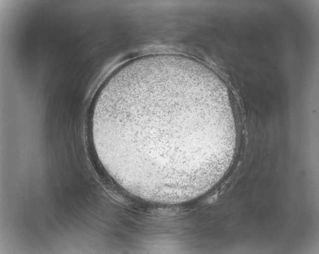 X0000066530103200604141850