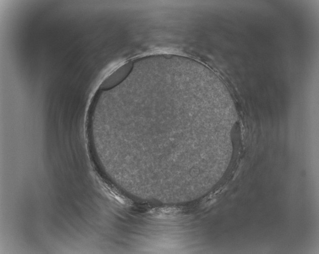 X0000066530104200604141850