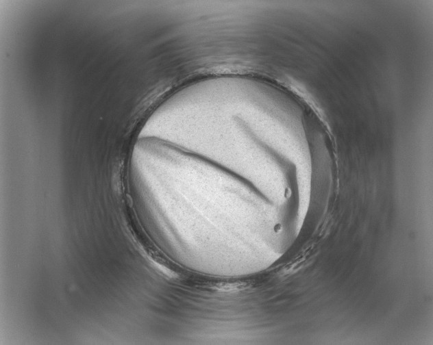 X0000066530105200604141850