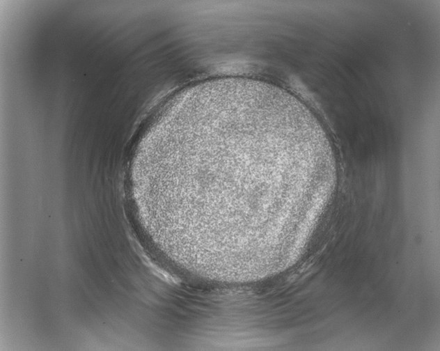 X0000066530106200604141850