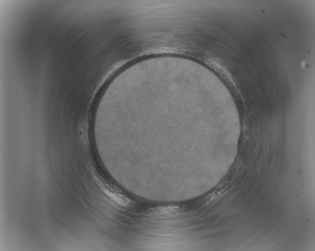 X0000066530108200604141850