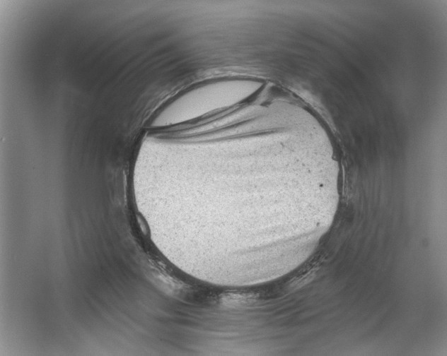 X0000066530109200604141850