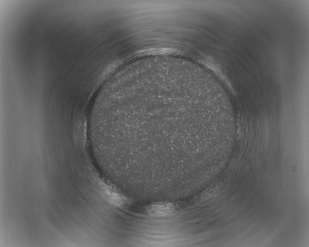 X0000066530110200604141850