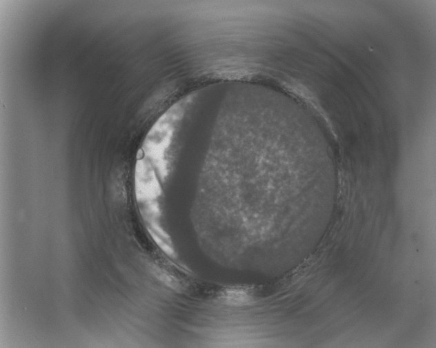 X0000066530114200604141850