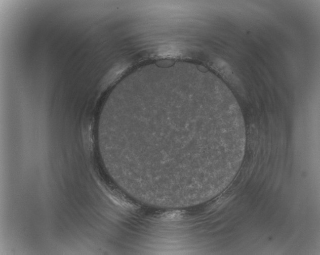 X0000066530116200604141850