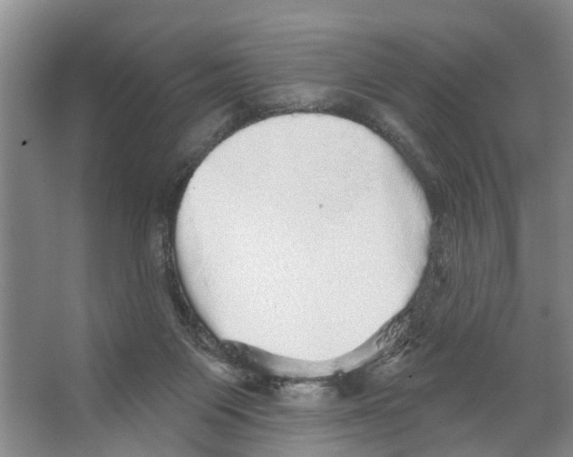 X0000066530119200604141850