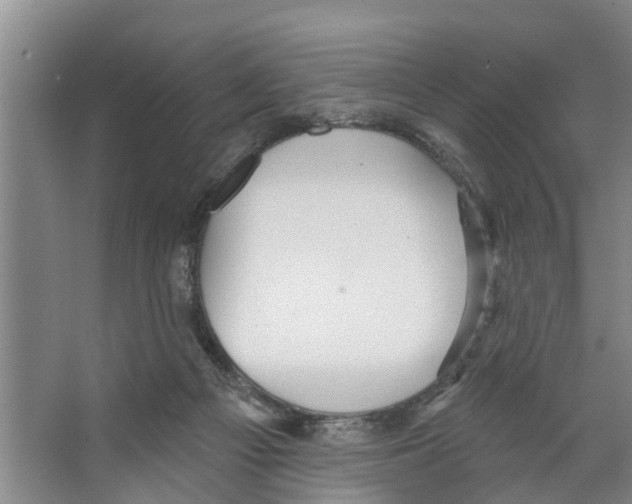 X0000066530121200604141850