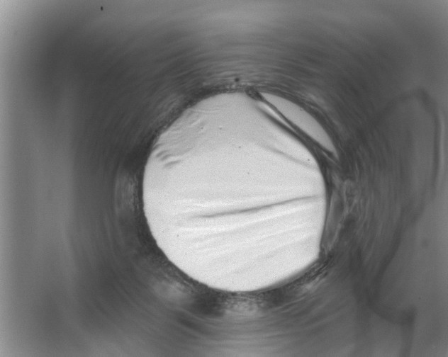 X0000066530123200604141849