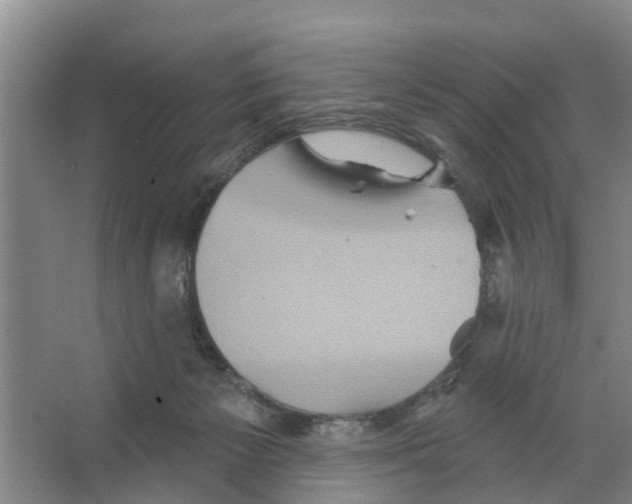 X0000066530125200604141849