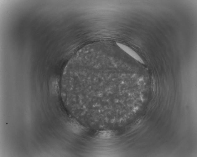 X0000066530127200604141849